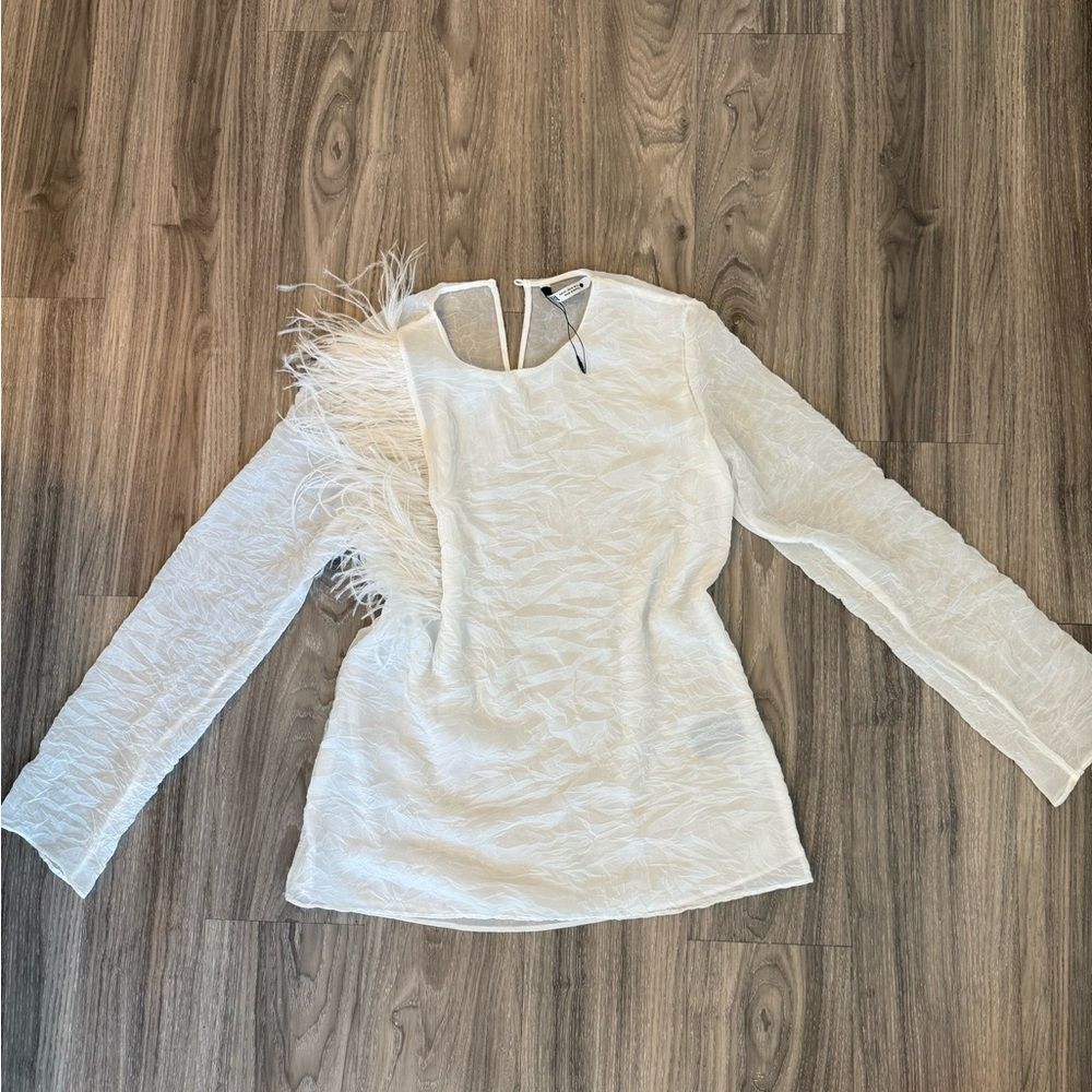 ZARA rare White Feather Accent Long Sleeve sheer Top XS